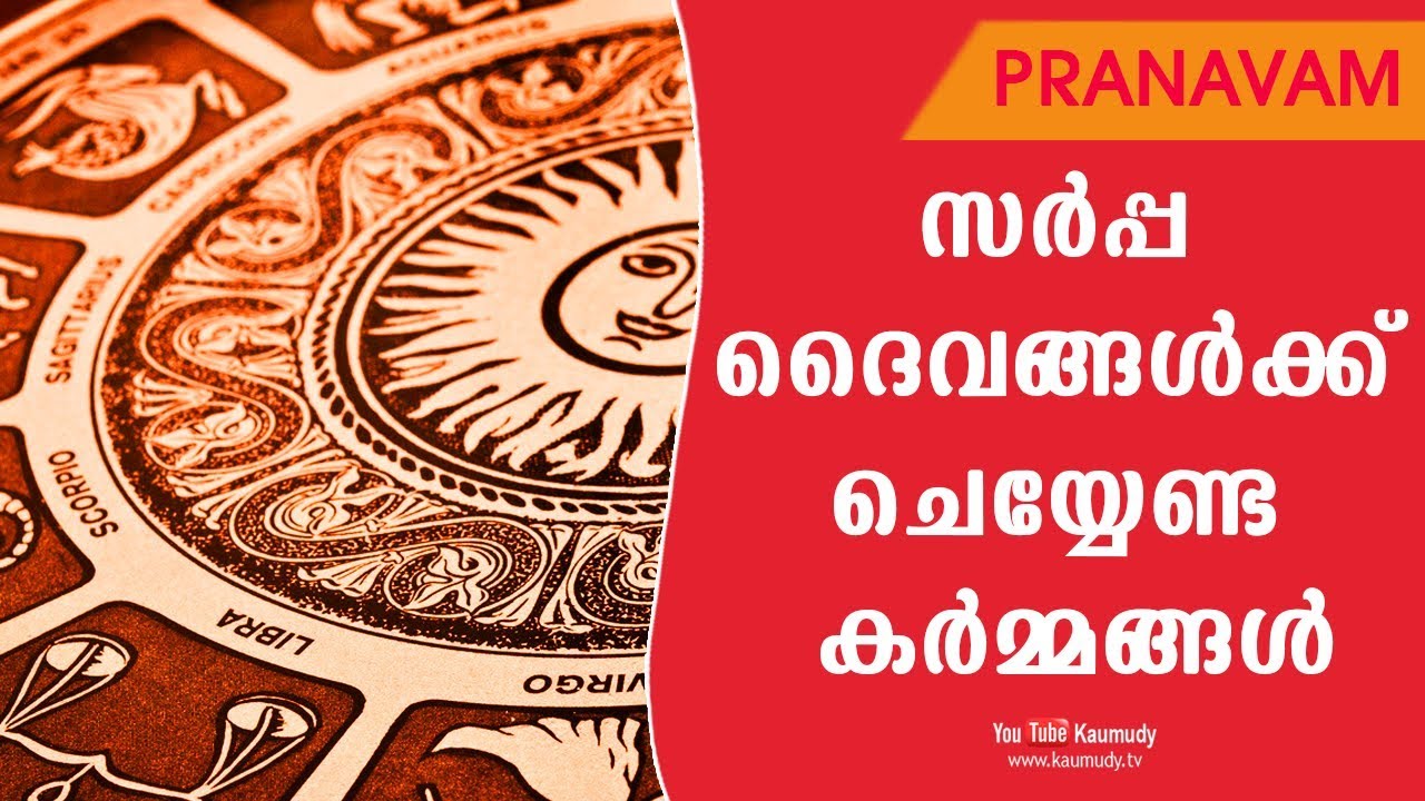സര്‍പ്പ ദൈവങ്ങള്‍ക്ക് ചെയ്യേണ്ട കര്‍മ്മങ്ങള്‍ | Pranavam | Ladies Hour