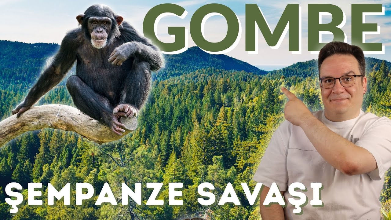Gombe Şempanze Savaşı –Bilinç ve Evrim