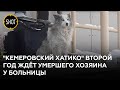 У ковидного госпиталя в Кемерове появился свой Хатико