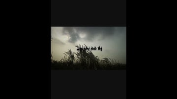 قران كريم اللهم صل وسلم وبارك على نبينا محمد وآله وصحبه اجمعين 💗