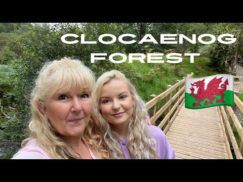 Clocaenog Forest, Wales - finding our old house