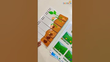 🌿 Class 3 EVS - Lesson 1 | Learning Aids #EVS #Class3EVS #SCERTKerala  #EVSLesson1 #PrimarySchool