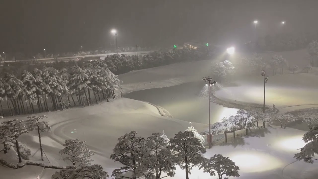 Solitary Man | 오태환의 색소폰