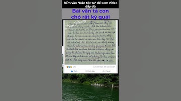 Bài văn tả con chó rất kỳ quái #shorts