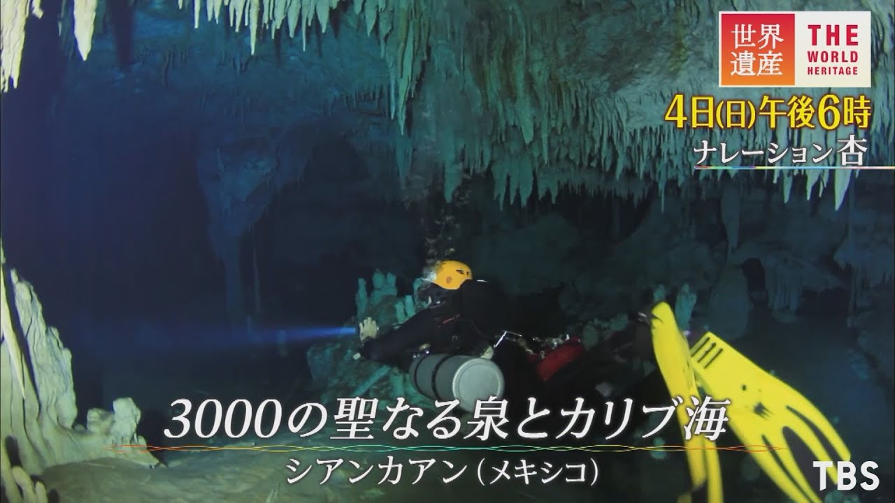 世界遺産 7 4 日 シアンカアン 3000の聖なる泉とカリブ海 Tbs Youtube