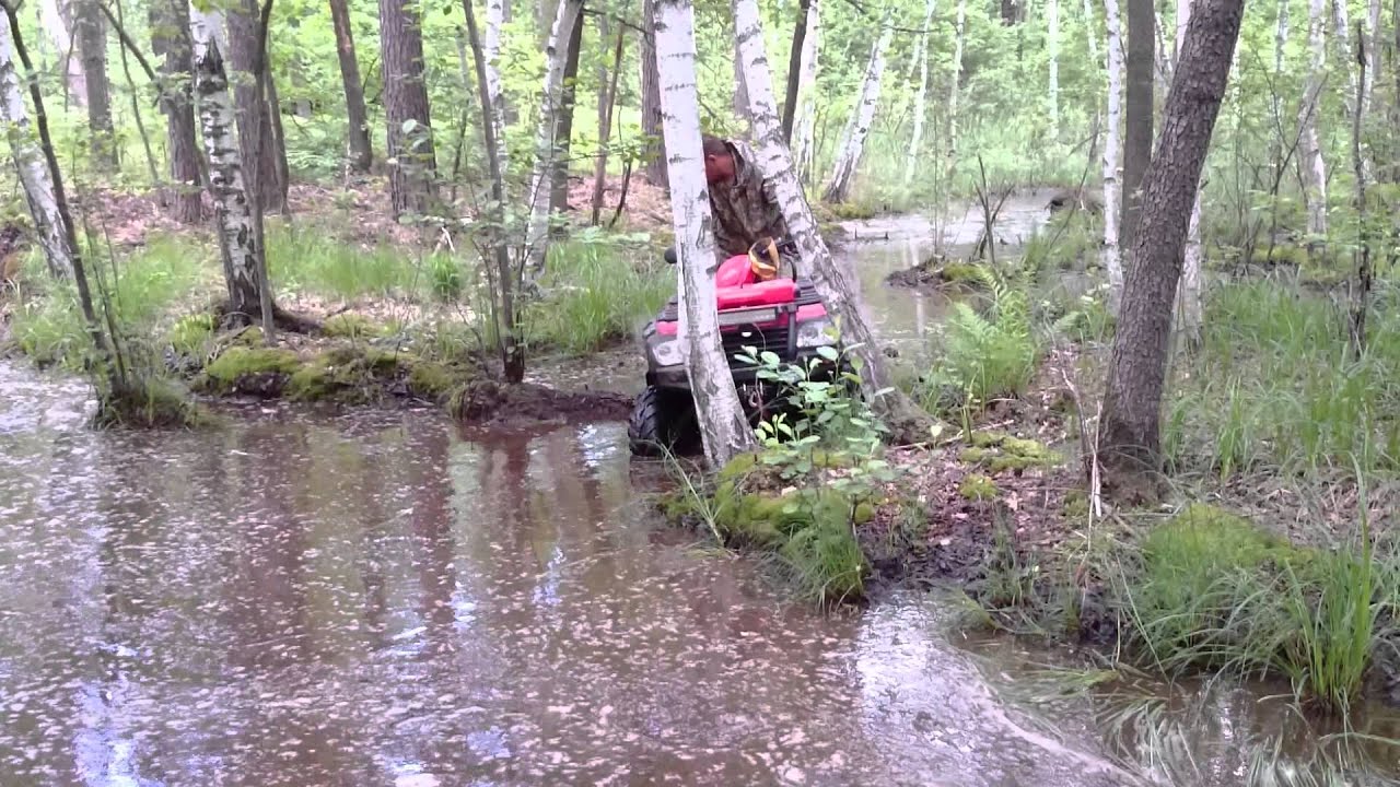 Покатушки СФ 800