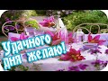 Удачного дня желаю! 🌸С Добрым утром! 🌸Красивое музыкальное пожелание🌸