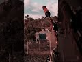 FARCRY6 КОД КРАСНЫЙ 👍🔔