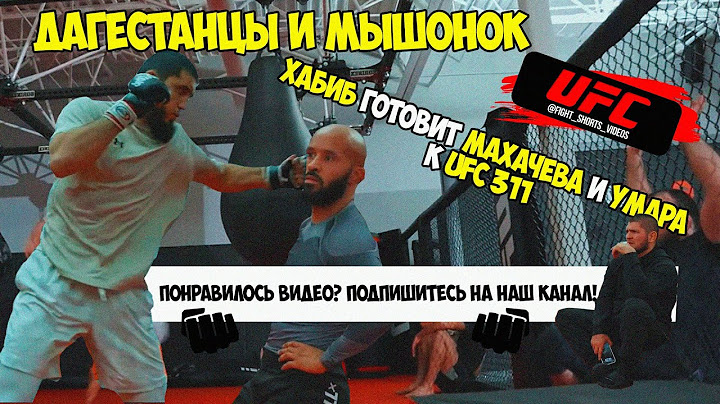 Дагестанцы и Мышонок / Хабиб готовит Махачева и Умара к UFC 311
