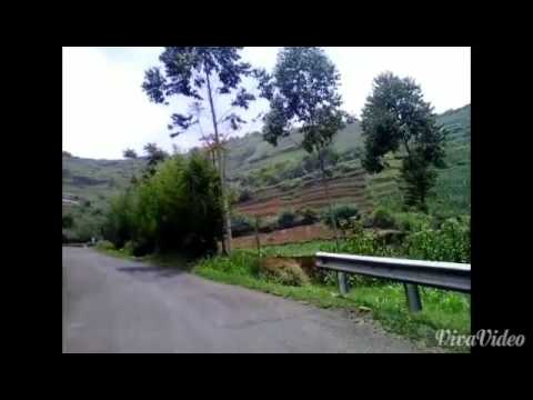 Ada band cinta sempurna