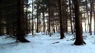 Finding Bigfoot: Chasing Sasquatch *part 3*