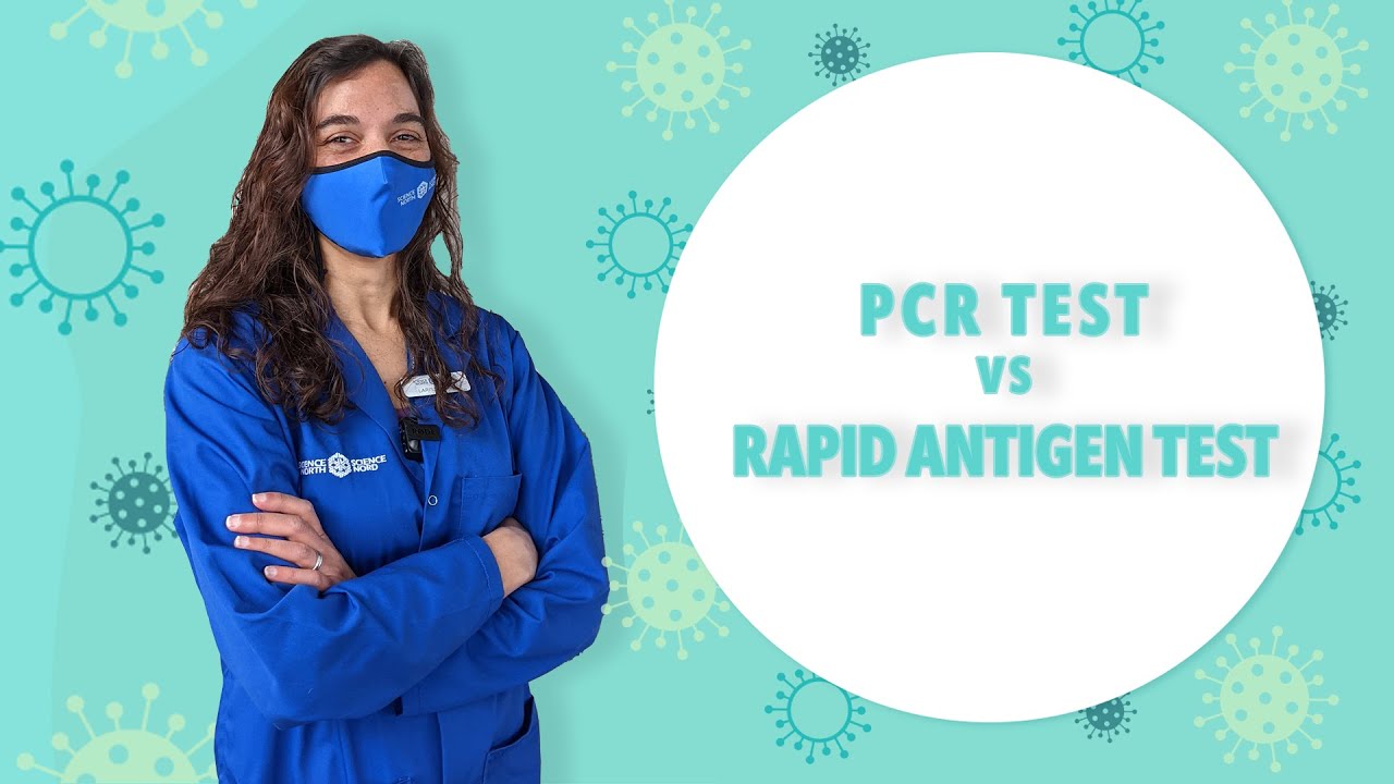 COVID Tests: PCR vs Rapid Antigen Test - YouTube