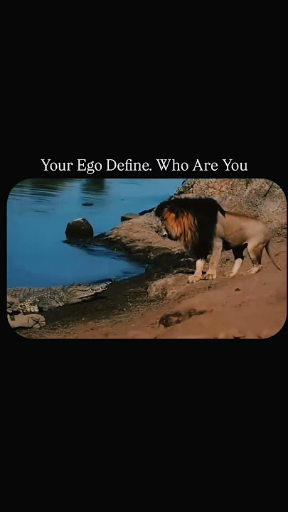 Ego | lion | real defination of ego | your ego define you | attitude 📈📈