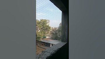 Garware HDPE Bird netting Services