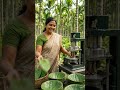 सुपारी के पत्तों से बाउल बनाने की मशीन! 😲🌿...|...#SupariLeafBowl #EcoFriendly #LeafBowlMachine