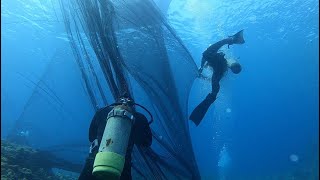 Spectacular! Catching 10,000 Fish by 'Drivefishing' Method!