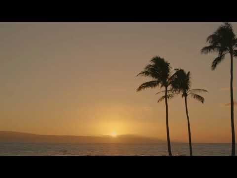 π΄lofi hiphop radio - calm beats to relax/studyπ΄