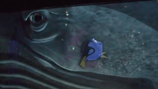 Download Lagu Turtle Talk with Crush and Dory, Disney California Adventure, Disneyland Resort MP3 Download Lagu Turtle Talk with Crush and Dory, Disney California Adventure, Disneyland Resort MP3