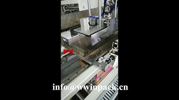 WIN-WIN PACK Case packer for packing sanitary napkin/Case erector/Carton sealer