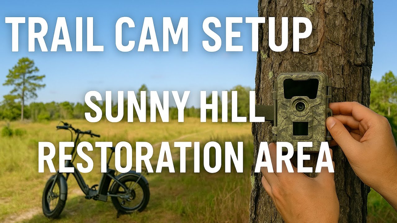 Trail Cam Setup at Sunny Hill Restoration Area 