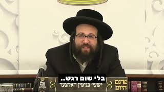 תפקידו של הגבר בבית 👑 | הרב יואל ראטה
