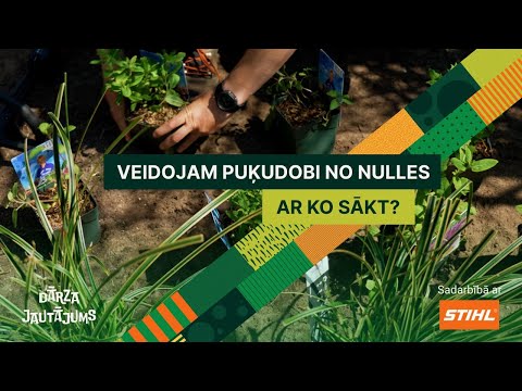 Video: Hidraulisko ratiņu darbības traucējumi un remonts: funkcijas, ierīce un ieteikumi