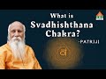 What is Svadhishthana Chakra? | Patriji | Pearls of wisdom | PVI