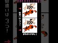 3つの間違い探し! #脳トレ #犬