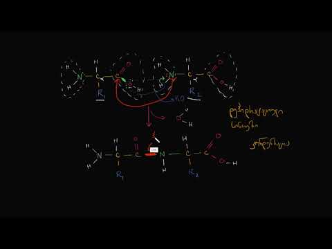 პეპტიდური ბმების წარმოქმნა