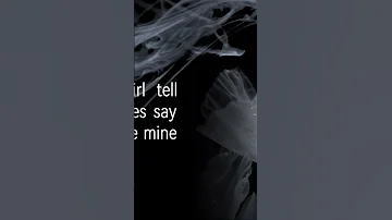 This Song Beatbestie Newmusic Fyp Lyrics Playlists Viral Audio Sound Veoxzy 