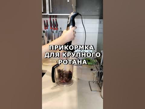#Прикормка на ротана #shorts #fishing #рек #рыбалка - YouTube