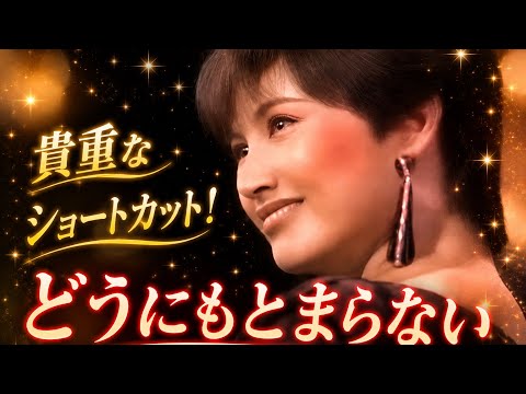 山本リンダ　どうにもとまらない　1987