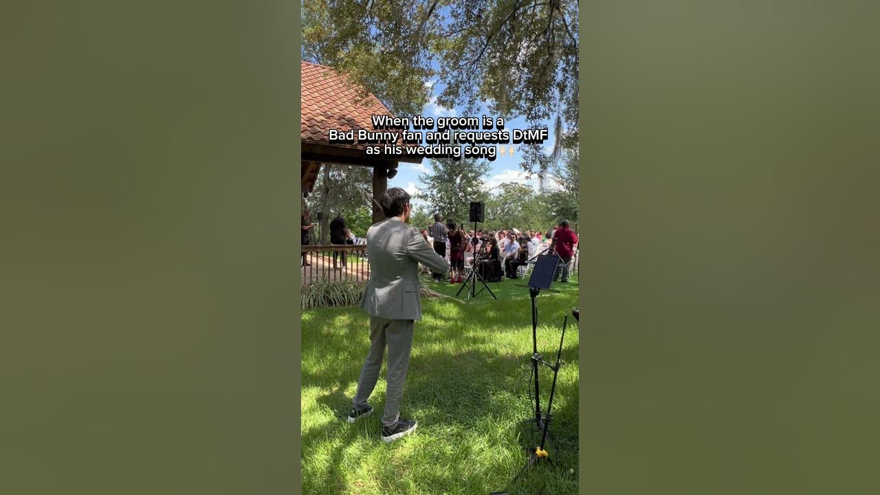 DTMf - Wedding Version 🎻