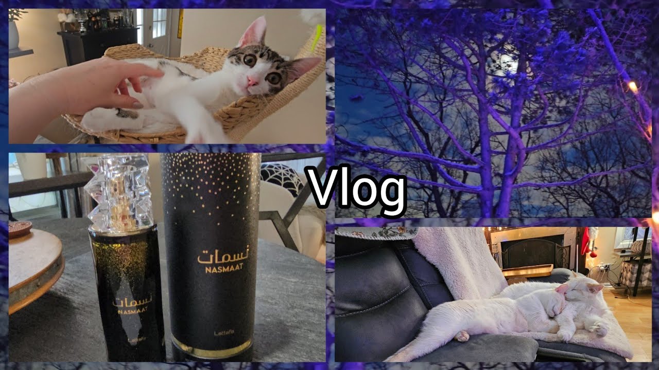 Mūsų dienos, kaip iš  filmo ,, Švilpiko diena,, ....🙄🤣🇺🇸