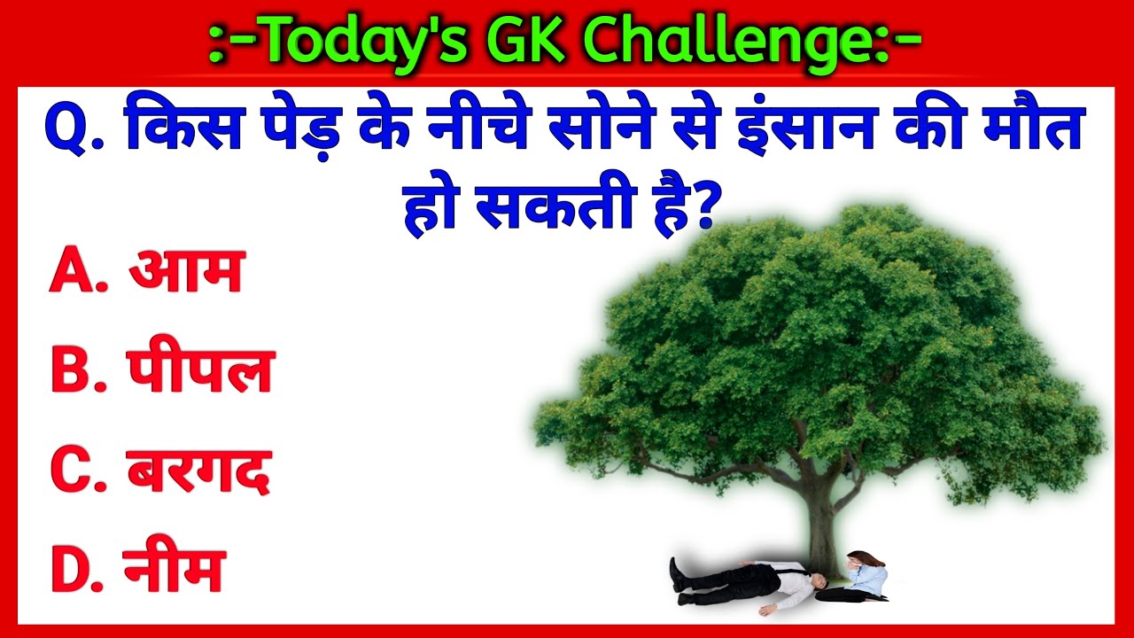 GK Questions || General Knowledge Quiz || GK || World of GK - YouTube