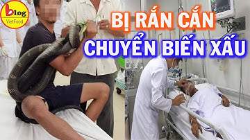Sức khoẻ người đàn ông bị rắn hổ mang chúa cắn chuyển biến nặng