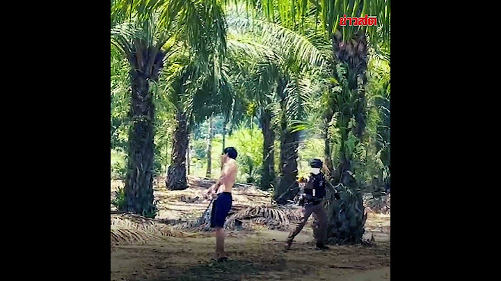 สองมือ ถือดาบอย่างมั่นใจ นักรบไทย บุกฟัน ตำรวจหนีวุ่น : Khaosod - ข่าวสด