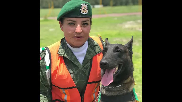 Mujeres del #EjércitoMexicano y la #FuerzaAéreaMx - DayDayNews