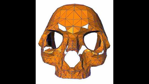 Surface Reconstruction of a Skull