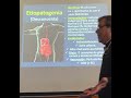 Clinica gastro Enfermedad inflamatoria intestinal (EII) 20250923