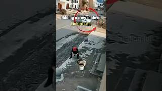 Adding a new node in LinkedIn list #shorts #shortsfeed #codingmemes #developer #dsa #viralvideo#code