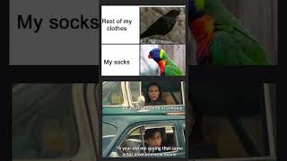 Daily memes #memes #trending #shorts #funny #dailymemes #cartoon #reels #sinchan
