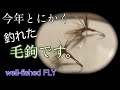 テンカラ釣り　入門　当たり毛鉤と巻き方　best fishing fly and how to tie it