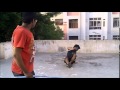 Bahubali the short film telugu