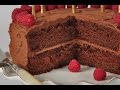 Chocolate Butter Cake Recipe Demonstration - Joyofbaking.com