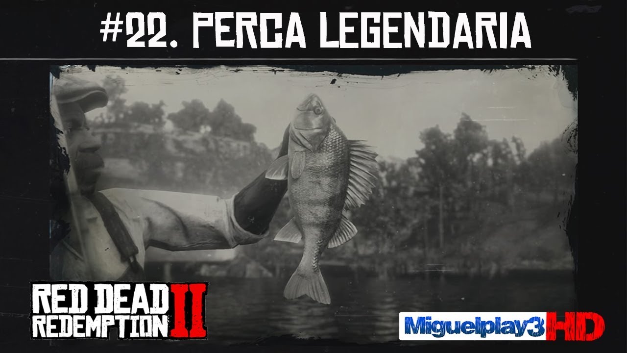 Localización Perca legendaria - #22.Compendio Peces - Red dead ...