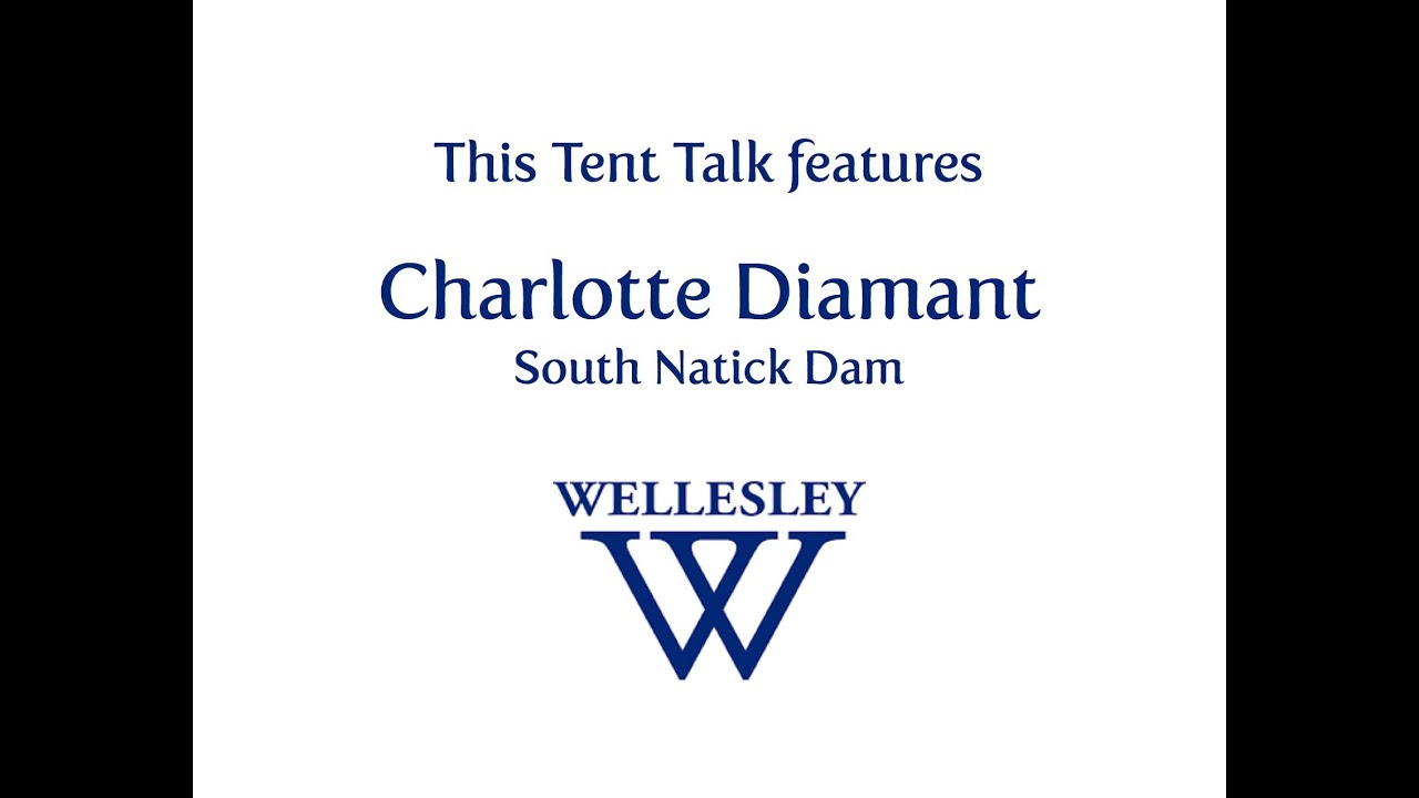 What is the history of the South Natick Dam YouTube