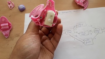 FUNCTIONAL DECOMPOSITION OF A WOUND TOY