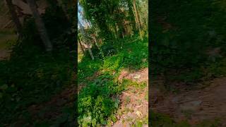 eviction village ko dekh kar bohut rona araha hai logo ka sukoon khatam ho gya hai so sad #viral