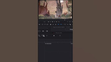 How to do Clip Rotation in DAVINCI RESOLVE 18